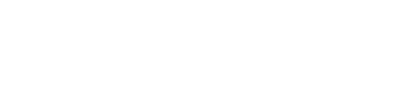 Techstus Software Solutions full logo